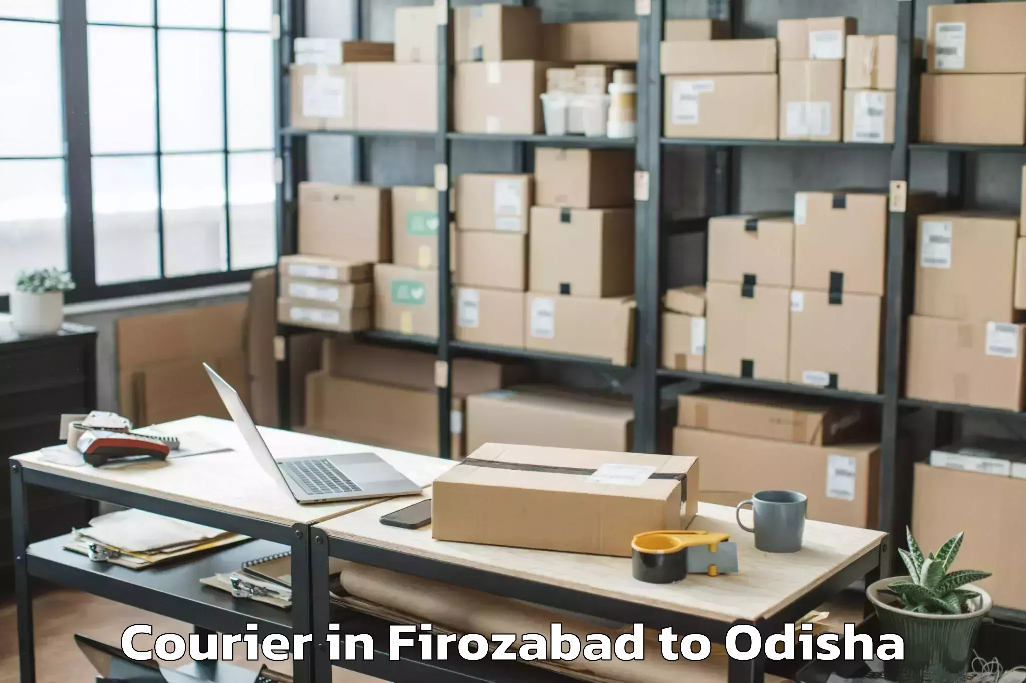 Reliable Firozabad to Bampada Courier